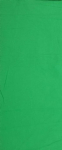 Falcon Eyes kangasfoon 2.9x5m, chroma green (BCP-10)