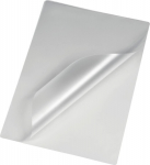 Hama 80 micron - 100er-Pack - durchsichtig