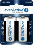 everActive Batteries LR20/D blister 2 szt