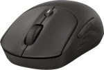 HP 405 - Mouse - quiet - right- And left handed - optical - 5 Tasten - wirelessly - Bluetooth 5.2, 2.4 GHz - Wireless receiver (USB)