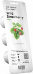 Click & Grow Smart Garden refill Metsmaasikas 3tk