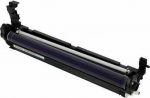 Ricoh Drum (D1882254)