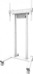 Neomounts Floor stand | FL55-875WH1 TV trolley | Adjustable Height | 55-100 " | Maximum weight (capacity) 110 kg | White