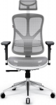 Diablo V-Basic White and Gray