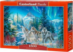 1565 Castorland Puzzle 1500 Moonrise Call CASTOR