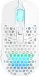 Xtrfy M42 - Mouse - optical - wirelessly - 2.4 GHz - Wireless receiver (USB)