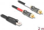 Delock Audio-Adapter - RJ-45 male to RCA