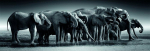 Clementoni Puzzle Panorama Herd of Giants 1000 element&oacute;w (39895)