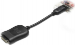 HP DisplayPort (DP) to DVI-D Adap, Adapter, DisplayPort To DVI