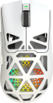 White Shark MORIEN WGM-5025 White