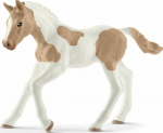 Figurine of Schleich Horse Paint horse foal (SLH13886 )
