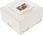 InLine Surface-mounted network socket 2x RJ45 Cat.6 - white horizontal (75602J)