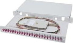 DIGITUS LWL Splei&szlig;box 1HE stocked 24x LC DX OM4 grau