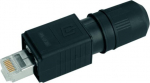 Teleg&auml;rtner Karl G&auml;rtner Teleg&auml;rtner J80026A0013 - RJ45 - Schwarz
