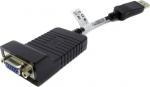 HP Display adapter - 20 cm - engaged