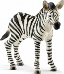 Figurine Schleich Zebra foal (GXP-622493)