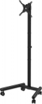 MANHATTAN compact TV- & Monitorst&auml;nder a. Rollen 13"-50"