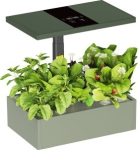Lumi Indoor Gardening System
