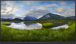 DEL Dell P2422H - Without stand - LED-Monitor - 61 cm (24")