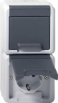 GIRA 478030 SCHUKO 2f senkr. KD WG AP Gr