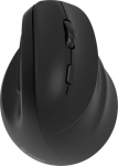 Yenkee Ergonomic right-handed wireless mouse,battery Dual WL+BT