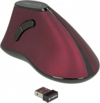DELOCK Ergonomic vertical optical 5-button mouse 2.4 GHz wireless