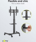 Wentronic TV Presentation Stand (Size L) Sort 37-70