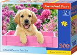 1565 Castorland Puzzle Labrador w box 300 element&oacute;w (030071)