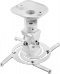 Techly Universal Ceiling Bracket for Projector, White ICA-PM 100WH