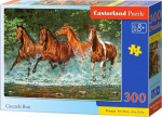 1565 Castorland Puzzle Cascade Run