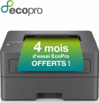 Brother HL-L2400DWE Laser