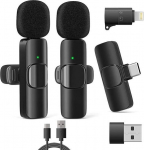 Realtron RealPower HS-1, Wireless Microphone,2 Microphones,1 Receiver