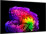 LG OLED65G61LW 65" (164 cm) 4K OLED evo Gallery Smart TV | LG