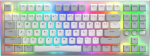 Keyboard Hator Gravity TKL RGB Aurum Orange (HTK561)