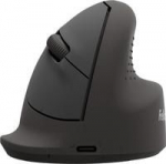 Fellowes Breyta vertical mouse medium right