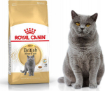 Royal Canin British Shorthair karma dry for adult British Shorthair cats 4kg