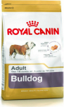 Roy ROYAL CANIN Bulldog Adult - dry dog food - 12 kg