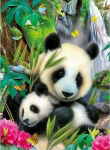 Ravensburger Puzzle Dear Panda, 300 element&oacute;w (130658)