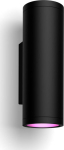 Philips Hue WCA Appear Outdoor Wall Lantern, Black | 8 W | 2000-6500 Hue White Colour Ambiance