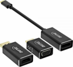 Adapter USB InLine USB-C - DisplayPort Czarny (64109B)