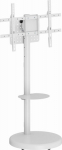 GEMBIRD TV floor stand 37 - 86inch white