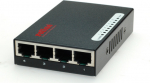 ROLINE Pocket Fast Ethernet Switch - Switch