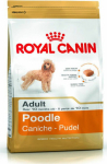 Roy Royal Canin Poodle Adult 1.5 kg