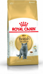 Roy ROYAL CANIN FBN British Shorthair Adult dry cat food - 10 kg