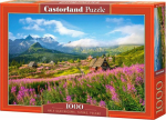 1565 Castorland Puzzle 1000 element&oacute;w - Gasienicowa Hall, grated, Poland