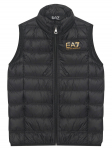 EA7 Emporio Armani Vest 7B000034 AF12477 MC004 Must Regular Fit