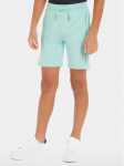 Calvin Klein Jeans Spordi&scaron;ortsid Minimalistic IB0IB02061 Sinine Regular Fit