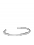 Daniel Wellington K&auml;ev&otilde;ru DW00400002 H&otilde;bedane