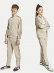 adidas Dressip&uuml;ksid Firebird HZ6652 Helebeež Regular Fit