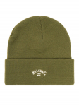 Billabong M&uuml;ts Arch F5BN22BIF2 Roheline